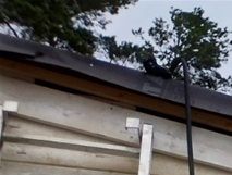 13/7 klart förutom takfot